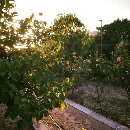 Bed & Breakfast Buon Vento 4*