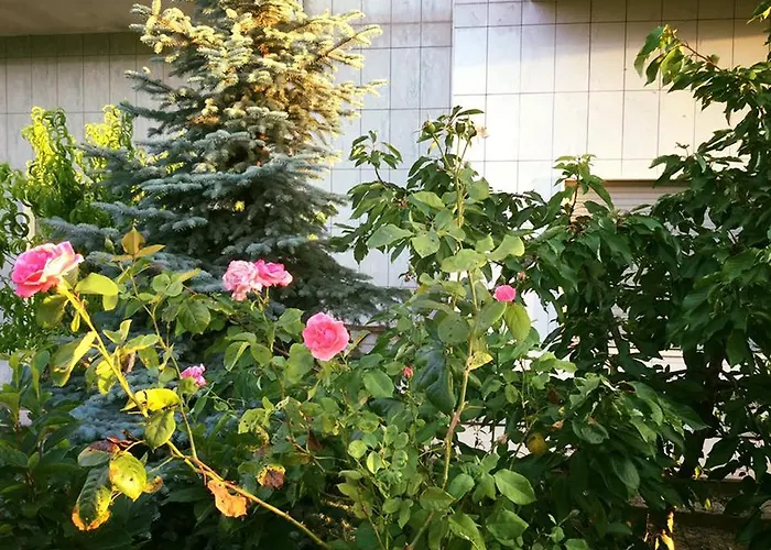 Buon Vento 4* Matera