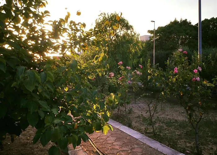 住宿加早餐酒店 奔文托住宿加早餐旅馆 4*